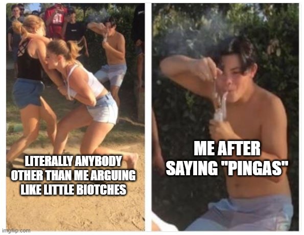 Pingas | ME AFTER SAYING "PINGAS"; LITERALLY ANYBODY OTHER THAN ME ARGUING LIKE LITTLE BIOTCHES | image tagged in 2 girls fight guy dabbing | made w/ Imgflip meme maker