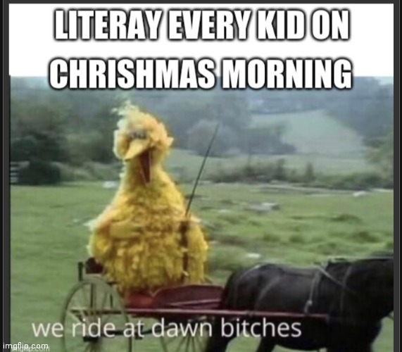 We rid at dawn bitches | image tagged in fun,big bird | made w/ Imgflip meme maker