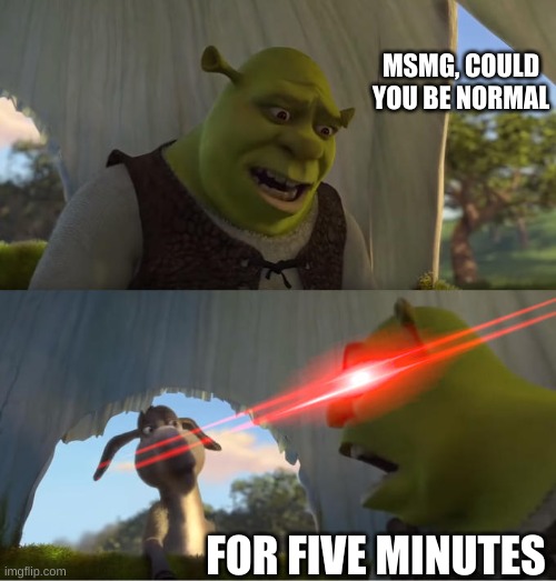 Shrek For Five Minutes | MSMG, COULD YOU BE NORMAL; FOR FIVE MINUTES | image tagged in shrek for five minutes | made w/ Imgflip meme maker