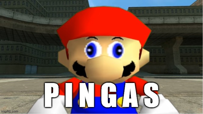 pingas | P I N G A S | image tagged in pingas | made w/ Imgflip meme maker