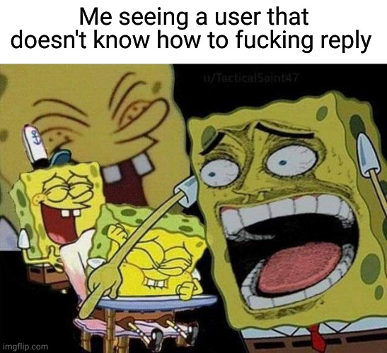 Spongebob laughing | Me seeing a user that doesn't know how to fucking reply | image tagged in spongebob laughing | made w/ Imgflip meme maker