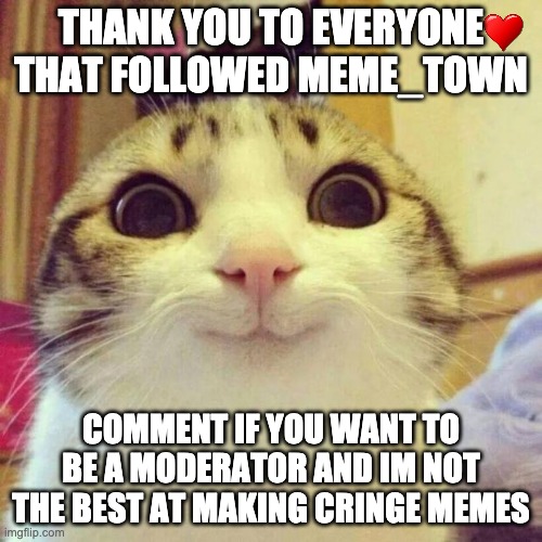 THANK YOU SO MUCH | THANK YOU TO EVERYONE THAT FOLLOWED MEME_TOWN; COMMENT IF YOU WANT TO BE A MODERATOR AND IM NOT THE BEST AT MAKING CRINGE MEMES | image tagged in memes,smiling cat | made w/ Imgflip meme maker