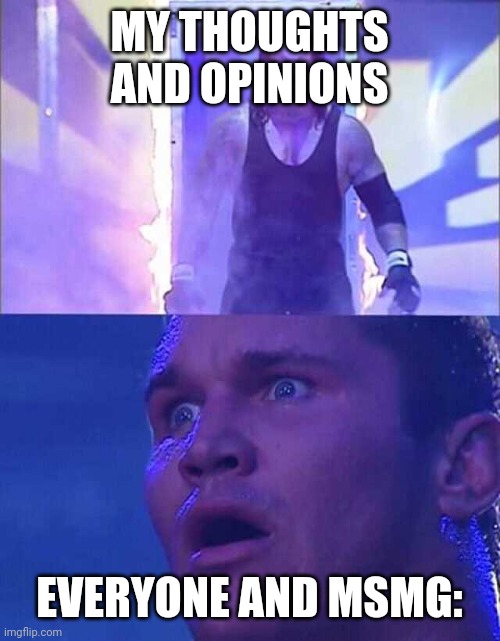 Randy Orton, Undertaker | MY THOUGHTS AND OPINIONS EVERYONE AND MSMG: | image tagged in randy orton undertaker | made w/ Imgflip meme maker