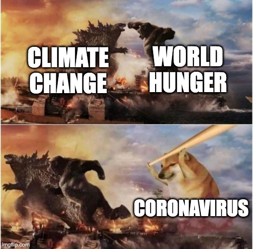 Kong Godzilla Doge | WORLD HUNGER; CLIMATE CHANGE; CORONAVIRUS | image tagged in kong godzilla doge | made w/ Imgflip meme maker