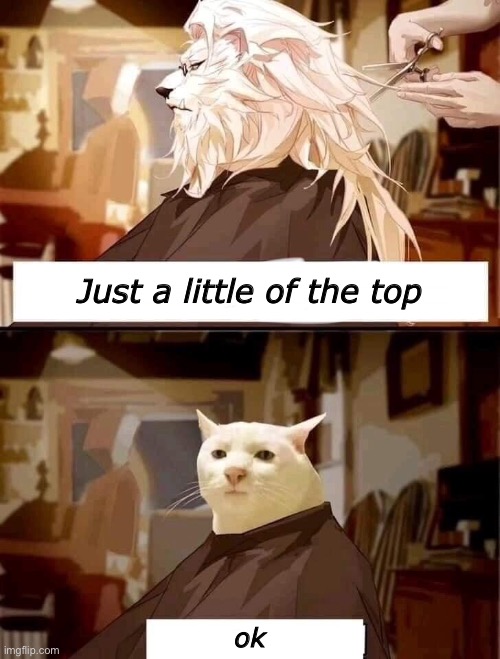 Just a little of the top; ok | made w/ Imgflip meme maker