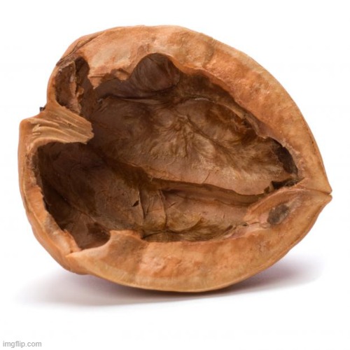 Nutshell | image tagged in nutshell | made w/ Imgflip meme maker