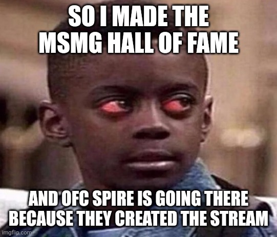 The owners that were here longer than I was can help me btw | SO I MADE THE MSMG HALL OF FAME; AND OFC SPIRE IS GOING THERE BECAUSE THEY CREATED THE STREAM | image tagged in high kid | made w/ Imgflip meme maker