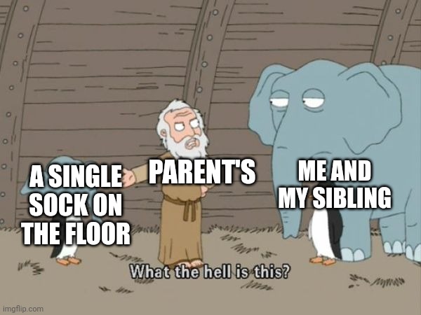 It's TRUE | PARENT'S; ME AND MY SIBLING; A SINGLE SOCK ON THE FLOOR | image tagged in what the hell is this | made w/ Imgflip meme maker