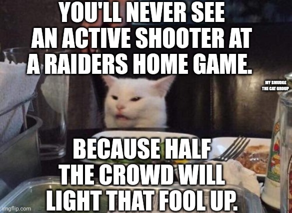 Salad cat | YOU'LL NEVER SEE AN ACTIVE SHOOTER AT A RAIDERS HOME GAME. MY SMUDGE THE CAT GROUP; BECAUSE HALF THE CROWD WILL LIGHT THAT FOOL UP. | image tagged in salad cat | made w/ Imgflip meme maker