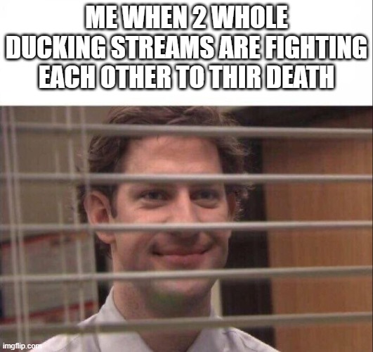 only irl must i go to war. like 80% of my family was in the navy | ME WHEN 2 WHOLE DUCKING STREAMS ARE FIGHTING EACH OTHER TO THIR DEATH | image tagged in jim halpert | made w/ Imgflip meme maker