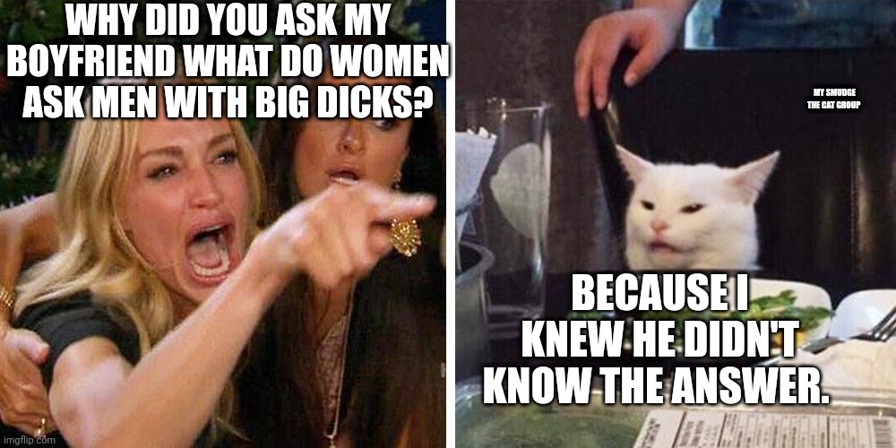 Smudge the cat | WHY DID YOU ASK MY BOYFRIEND WHAT DO WOMEN ASK MEN WITH BIG DICKS? MY SMUDGE THE CAT GROUP; BECAUSE I KNEW HE DIDN'T KNOW THE ANSWER. | image tagged in smudge the cat | made w/ Imgflip meme maker