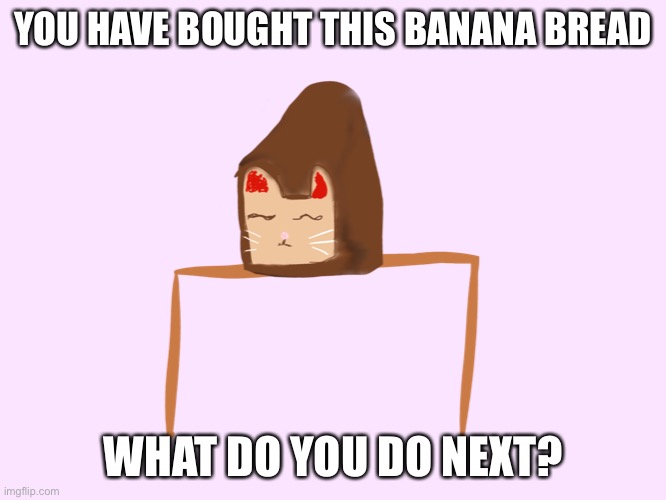 YOU HAVE BOUGHT THIS BANANA BREAD; WHAT DO YOU DO NEXT? | made w/ Imgflip meme maker