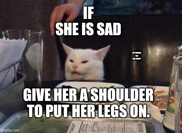 Salad cat |  IF SHE IS SAD; MY SMUDGE THE CAT GROUP; GIVE HER A SHOULDER TO PUT HER LEGS ON. | image tagged in salad cat | made w/ Imgflip meme maker