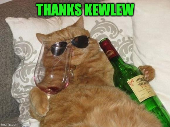 Funny Cat Birthday | THANKS KEWLEW | image tagged in funny cat birthday | made w/ Imgflip meme maker