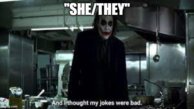 And I thought my jokes were bad | "SHE/THEY" | image tagged in and i thought my jokes were bad | made w/ Imgflip meme maker