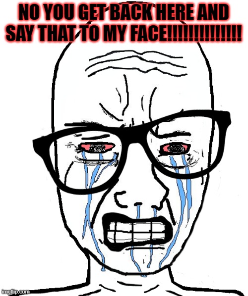Wojak Crying | NO YOU GET BACK HERE AND SAY THAT TO MY FACE!!!!!!!!!!!!!! | image tagged in wojak crying | made w/ Imgflip meme maker