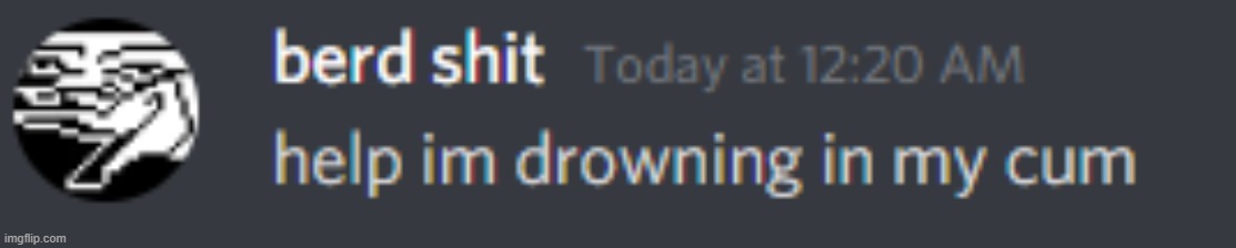 this random ass guy messaged me and said this | image tagged in berd shit moment | made w/ Imgflip meme maker