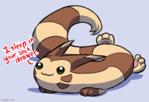 he sleep | image tagged in furret is sleepin' in your sock drawer | made w/ Imgflip meme maker