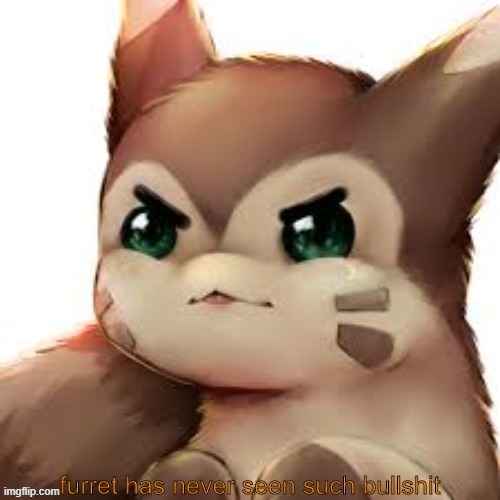 he is angy | image tagged in furret has never seen such bullshit | made w/ Imgflip meme maker