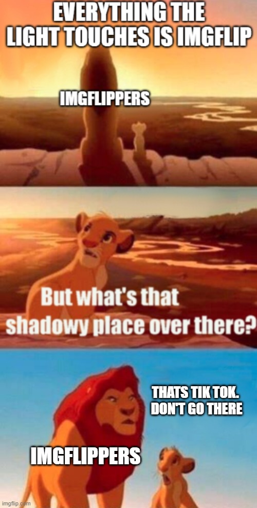 Ae we even called Imgflippers?  Idkec | THATS TIK TOK.  DON'T GO THERE; IMGFLIPPERS | image tagged in idek,simba shadowy place | made w/ Imgflip meme maker