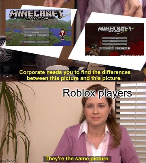 They're The Same Picture | Roblox players | image tagged in memes,they're the same picture | made w/ Imgflip meme maker