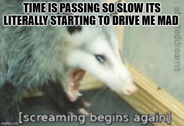 Screaming begins again | TIME IS PASSING SO SLOW ITS LITERALLY STARTING TO DRIVE ME MAD | image tagged in screaming begins again | made w/ Imgflip meme maker