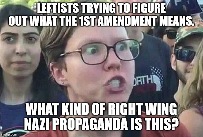 Triggered Liberal | LEFTISTS TRYING TO FIGURE OUT WHAT THE 1ST AMENDMENT MEANS. WHAT KIND OF RIGHT WING NAZI PROPAGANDA IS THIS? | image tagged in triggered liberal | made w/ Imgflip meme maker