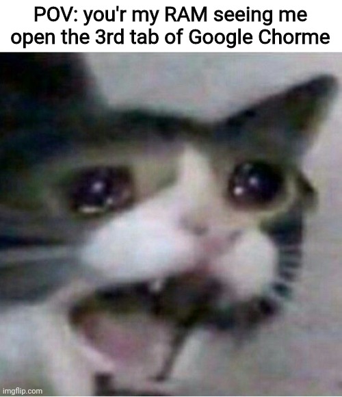 That's why I disable Google Chorme in this device | POV: you'r my RAM seeing me open the 3rd tab of Google Chorme | image tagged in crying cat,google,why,eating | made w/ Imgflip meme maker