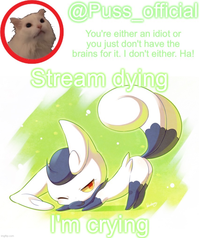 And the hedgehogs started flying | Stream dying; I'm crying | image tagged in puss_official announcement template,just steal this template,i don't care anymore | made w/ Imgflip meme maker