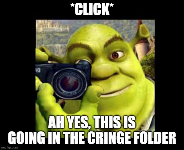 scherk | *CLICK*; AH YES, THIS IS GOING IN THE CRINGE FOLDER | image tagged in shrek taking a photo meme | made w/ Imgflip meme maker