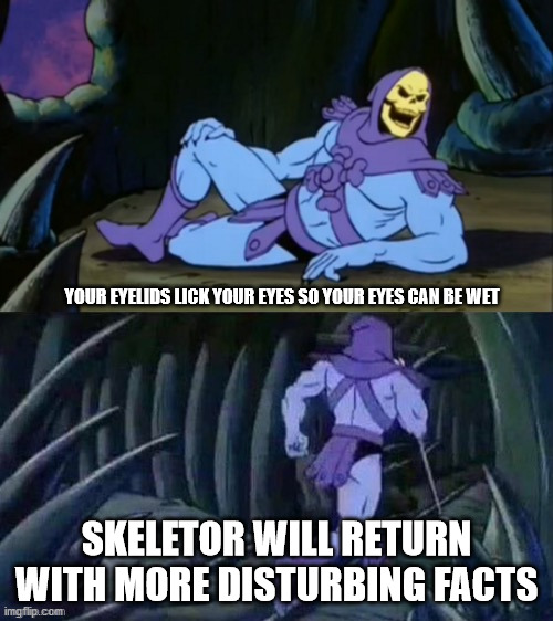 Skeletor disturbing facts | YOUR EYELIDS LICK YOUR EYES SO YOUR EYES CAN BE WET; SKELETOR WILL RETURN WITH MORE DISTURBING FACTS | image tagged in skeletor disturbing facts | made w/ Imgflip meme maker