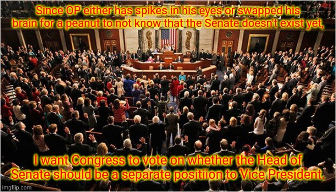 Congress | Since OP either has spikes in his eyes or swapped his brain for a peanut to not know that the Senate doesn't exist yet, I want Congress to vote on whether the Head of Senate should be a separate positiion to Vice President. | image tagged in congress | made w/ Imgflip meme maker