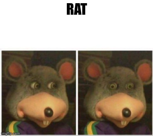 chuck e cheese rat stare | YOUR MOM; RAT | image tagged in chuck e cheese rat stare | made w/ Imgflip meme maker