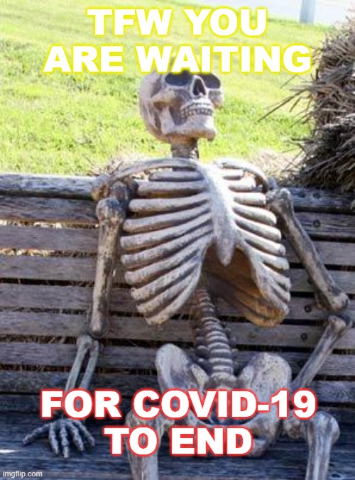 TFW you are waiting for COVID-19 to end | TFW YOU ARE WAITING; FOR COVID-19
TO END | image tagged in memes,waiting skeleton | made w/ Imgflip meme maker