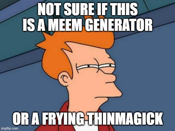 Futurama Fry |  NOT SURE IF THIS IS A MEEM GENERATOR; OR A FRYING THINMAGICK | image tagged in memes,futurama fry | made w/ Imgflip meme maker