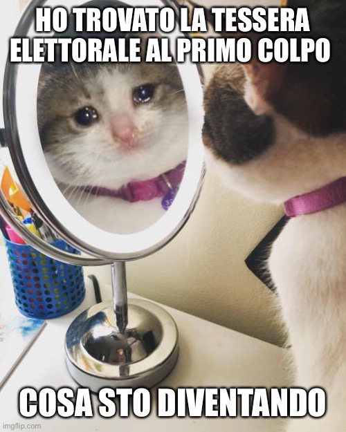 Cosa sto diventando | HO TROVATO LA TESSERA ELETTORALE AL PRIMO COLPO; COSA STO DIVENTANDO | image tagged in cosa sto diventando | made w/ Imgflip meme maker