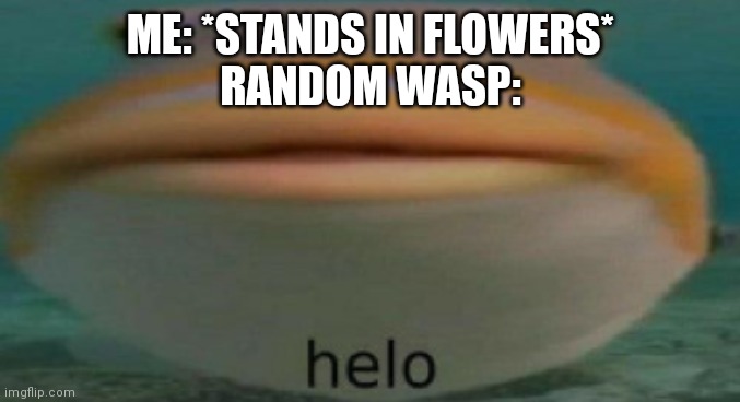 helo | ME: *STANDS IN FLOWERS*
RANDOM WASP: | image tagged in helo | made w/ Imgflip meme maker
