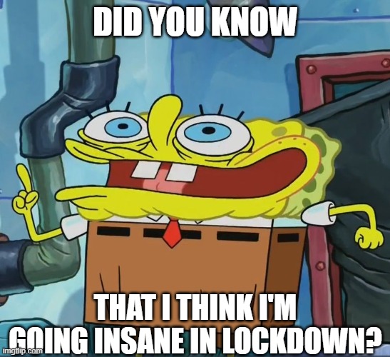 Date: 3/10/2021   Place: Down Under   State: Victoria   PLS HELP ME | DID YOU KNOW; THAT I THINK I'M GOING INSANE IN LOCKDOWN? | image tagged in did you know | made w/ Imgflip meme maker