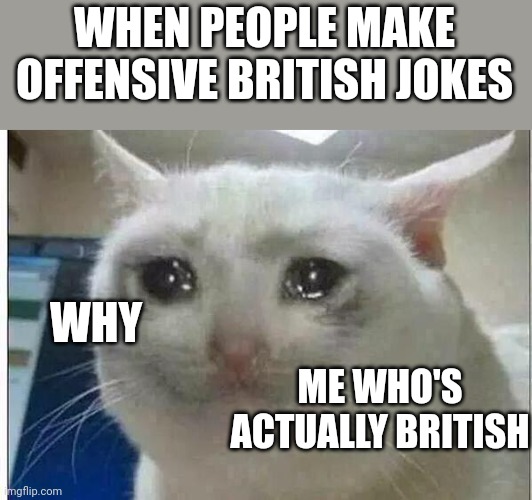 crying cat | WHEN PEOPLE MAKE OFFENSIVE BRITISH JOKES; WHY; ME WHO'S ACTUALLY BRITISH | image tagged in crying cat | made w/ Imgflip meme maker