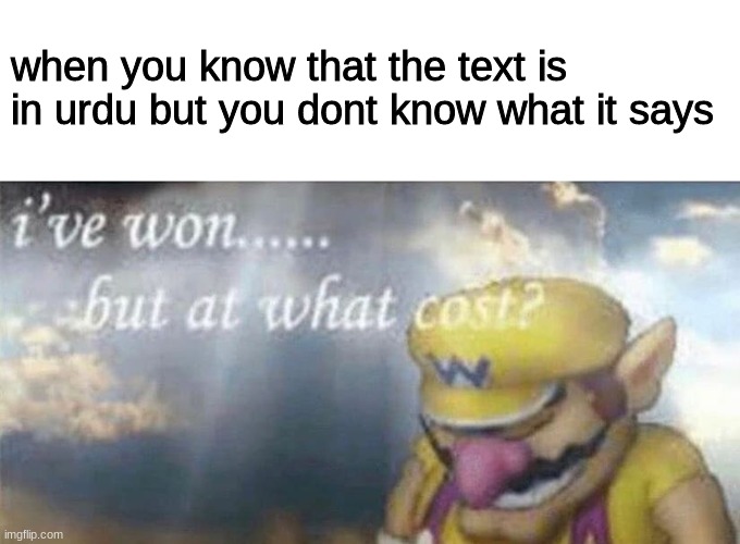 ive won but at what cost | when you know that the text is in urdu but you dont know what it says | image tagged in ive won but at what cost | made w/ Imgflip meme maker