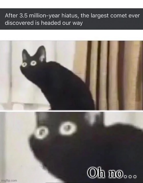 Why do I get this while I’m scrolling through Google? | Oh no… | image tagged in oh no black cat | made w/ Imgflip meme maker