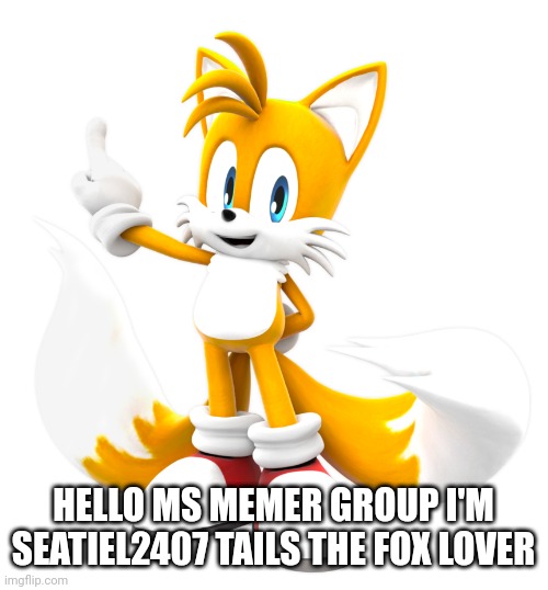 Hello this group | HELLO MS MEMER GROUP I'M SEATIEL2407 TAILS THE FOX LOVER | image tagged in tails,tails the fox | made w/ Imgflip meme maker