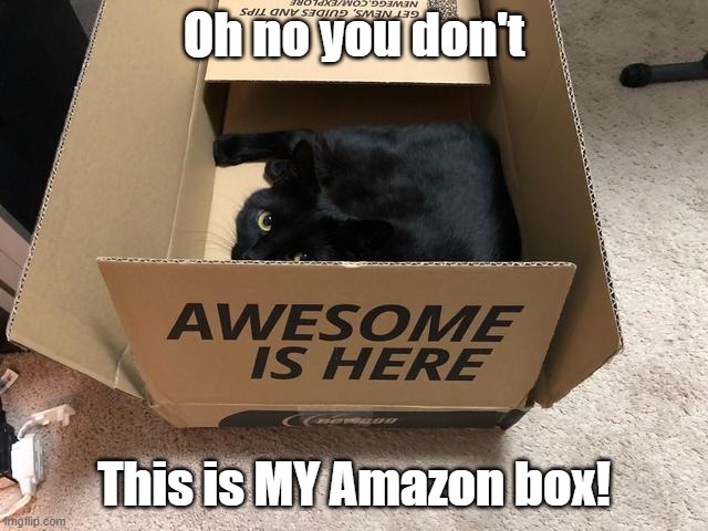 Oh no you don't This is MY Amazon box! | made w/ Imgflip meme maker