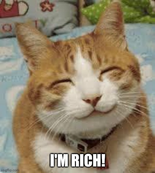 Happy cat | I'M RICH! | image tagged in happy cat | made w/ Imgflip meme maker