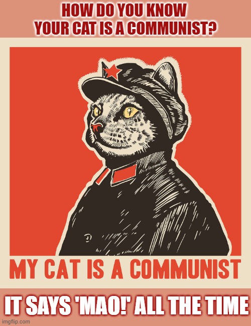 Is your cat a communist? | HOW DO YOU KNOW 
YOUR CAT IS A COMMUNIST? IT SAYS 'MAO!' ALL THE TIME | image tagged in lolcat,communism,dad joke | made w/ Imgflip meme maker