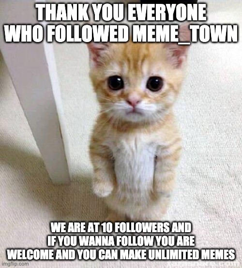 THANK YOU |  THANK YOU EVERYONE WHO FOLLOWED MEME_TOWN; WE ARE AT 10 FOLLOWERS AND IF YOU WANNA FOLLOW YOU ARE WELCOME AND YOU CAN MAKE UNLIMITED MEMES | image tagged in memes,cute cat | made w/ Imgflip meme maker
