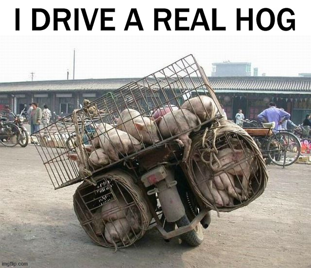 I DRIVE A REAL HOG | image tagged in eyeroll | made w/ Imgflip meme maker