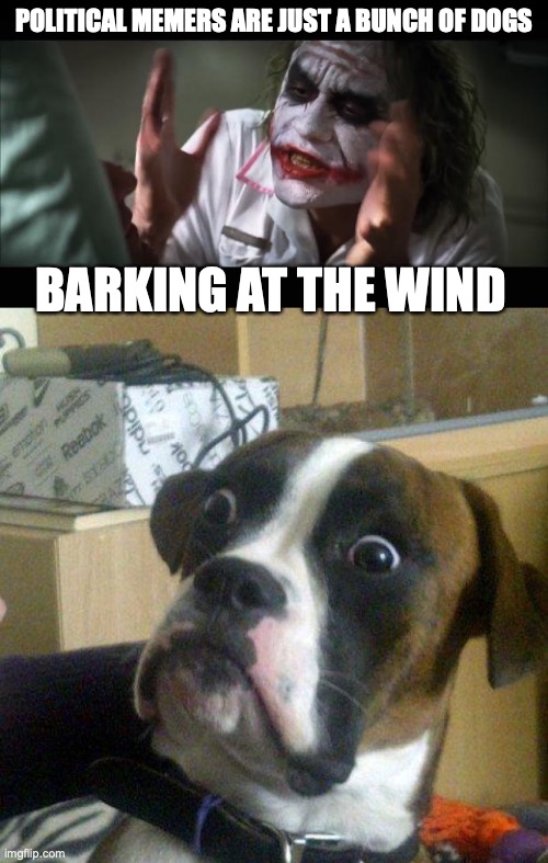 POLITICAL MEMERS ARE JUST A BUNCH OF DOGS; BARKING AT THE WIND | image tagged in memes,and everybody loses their minds,blankie the shocked dog | made w/ Imgflip meme maker