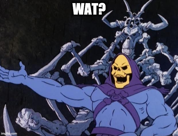 Skeletor offers astonished commentary | WAT? | image tagged in skeletor offers astonished commentary | made w/ Imgflip meme maker