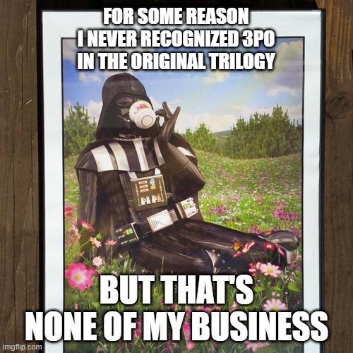 The Creator | FOR SOME REASON I NEVER RECOGNIZED 3PO IN THE ORIGINAL TRILOGY; BUT THAT'S NONE OF MY BUSINESS | image tagged in star wars | made w/ Imgflip meme maker